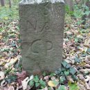 Gemarkungswanderung 2010 -  006